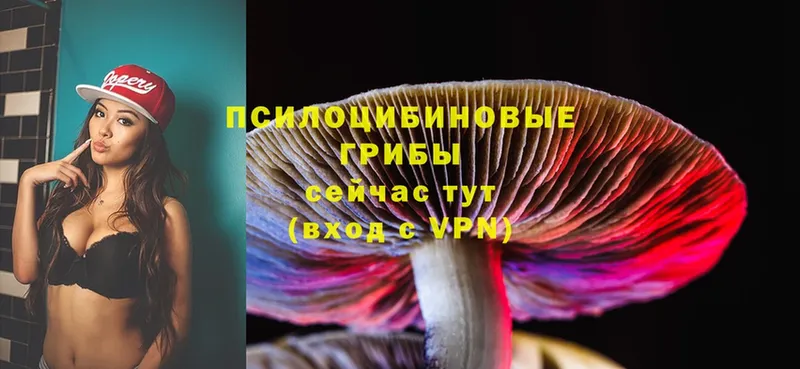 Псилоцибиновые грибы Magic Shrooms  где найти наркотики  Обнинск 